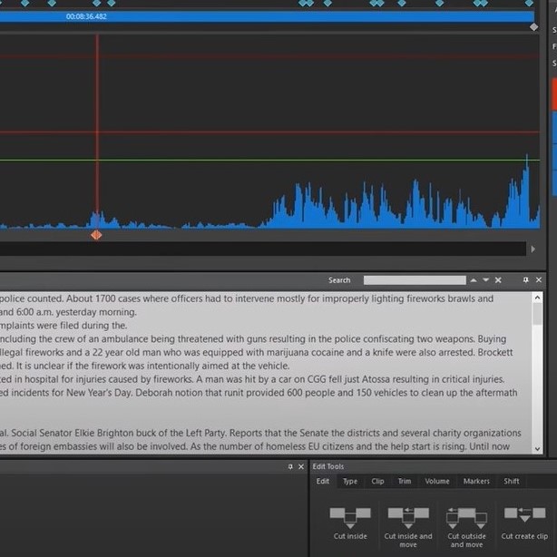 Partial view of DAVID SingleTrackEditor with Speech to Tech Feature on.